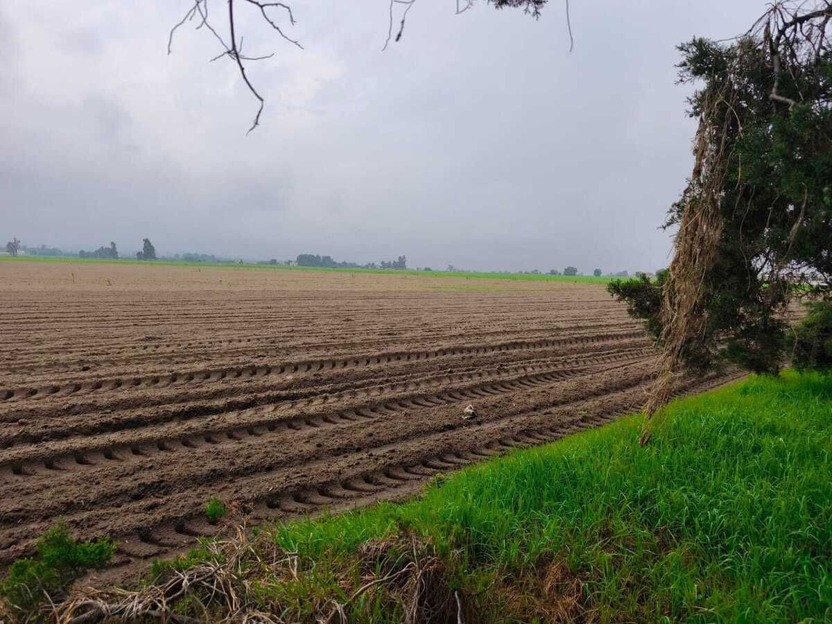 Lote en venta · El Arenal, Amecameca, Estado de México