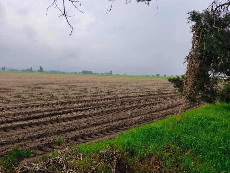 Lote en venta · El Arenal, Amecameca, Estado de México