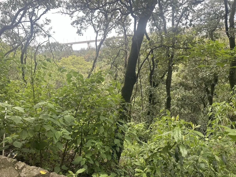 Foto 16