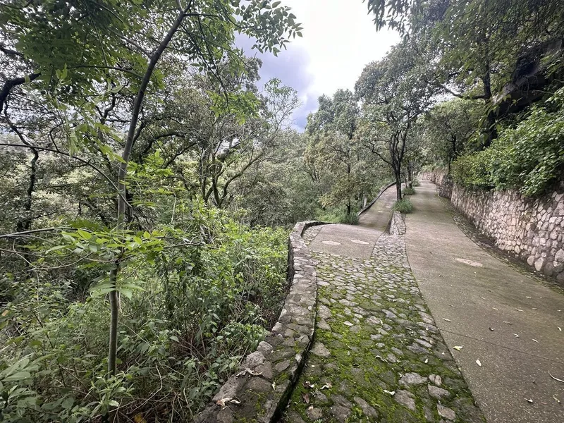 Foto 10