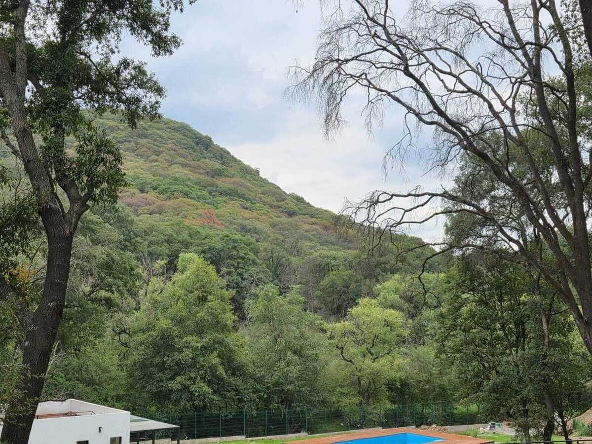 Foto 6