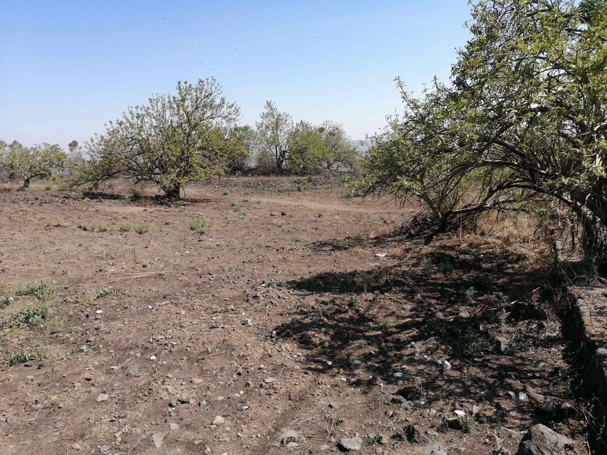Nave industrial en venta · Santa Catarina Ayotzingo, Chalco, Estado de México