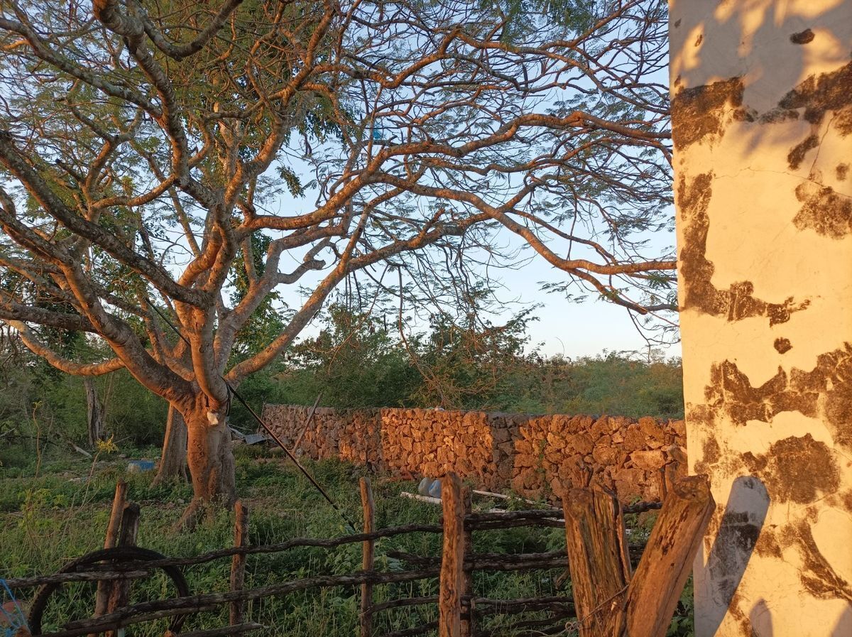 Casa en venta · Tekit, Tekit, Yucatán