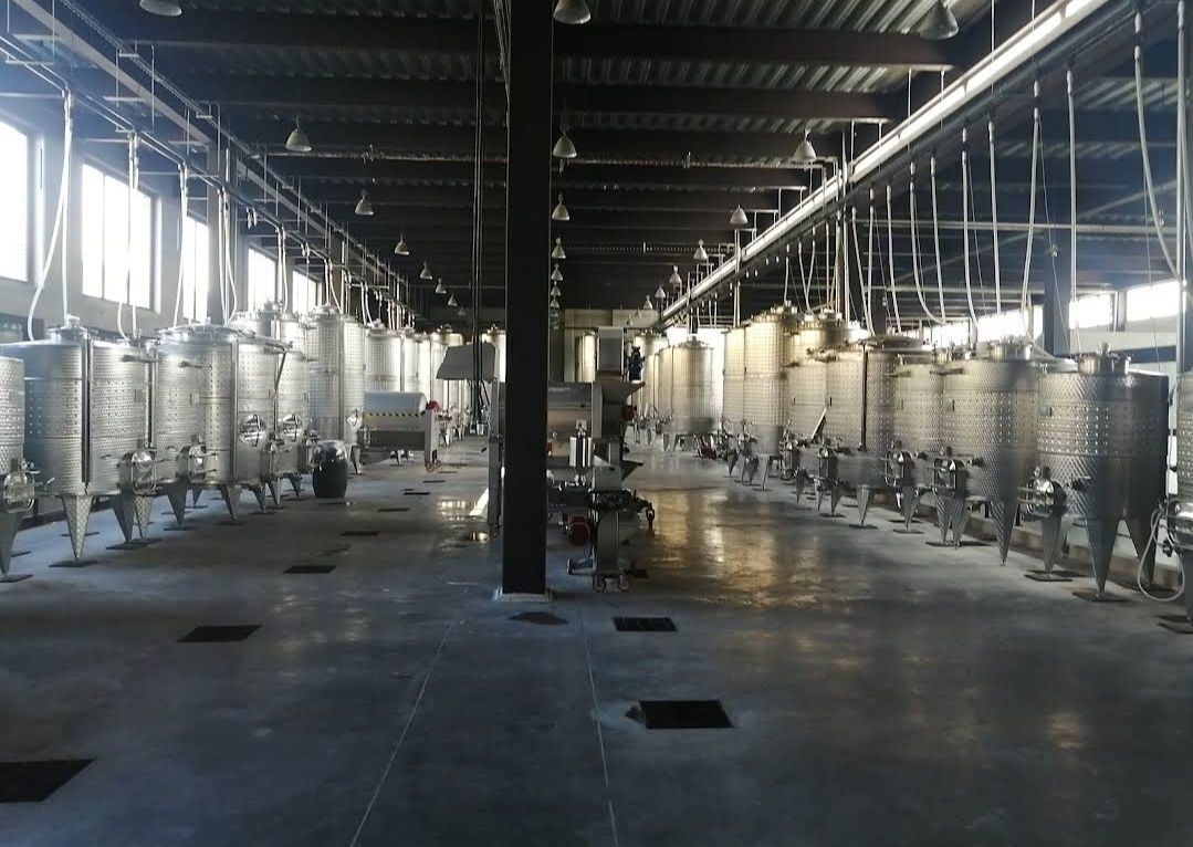 Foto 11