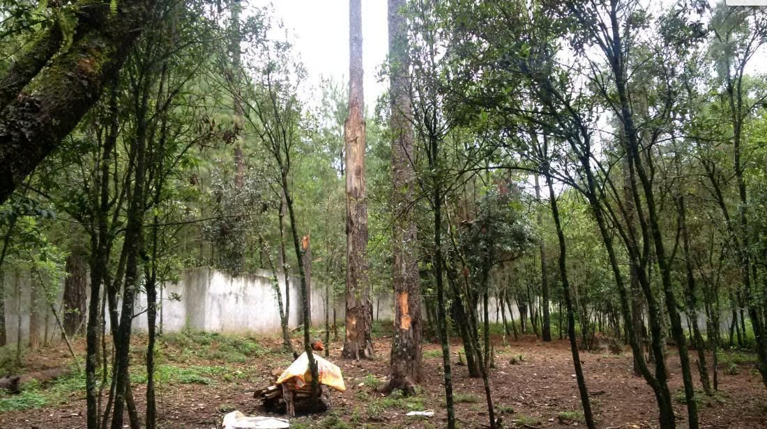 Lote en venta · Santa Magdalena Tilostoc, Valle de Bravo, Estado de México