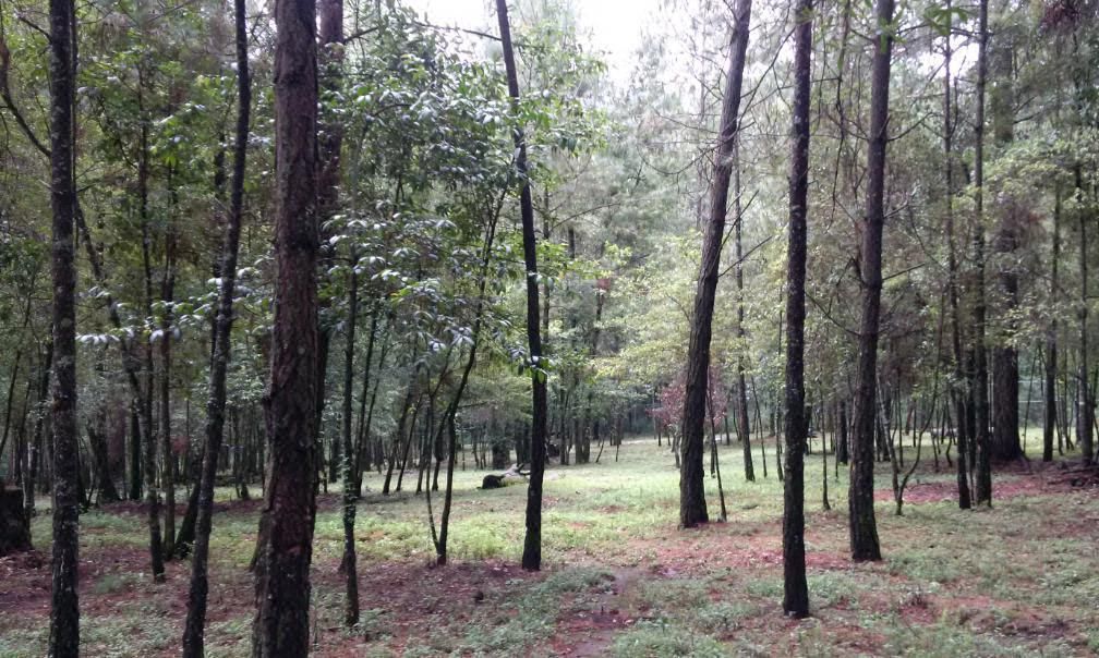 Lote en venta · Santa Magdalena Tilostoc, Valle de Bravo, Estado de México