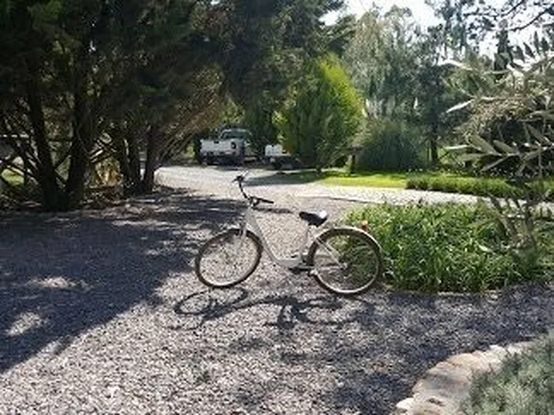 Foto 13