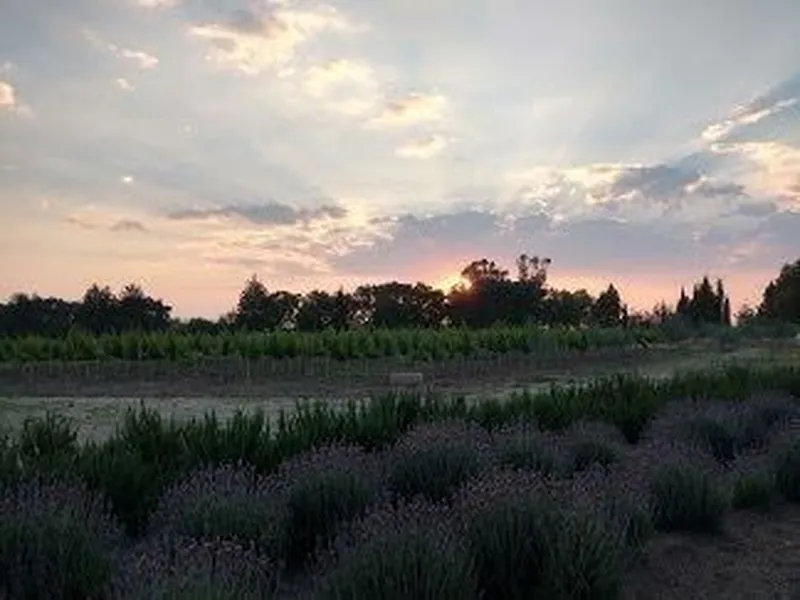 Foto 15