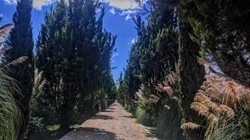 Foto 7