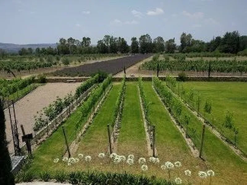 Foto 10