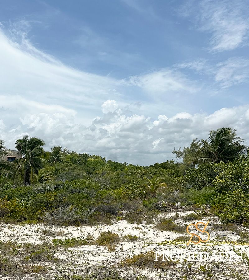 Lote en venta · Punta Sam, Benito Juárez, Quintana Roo