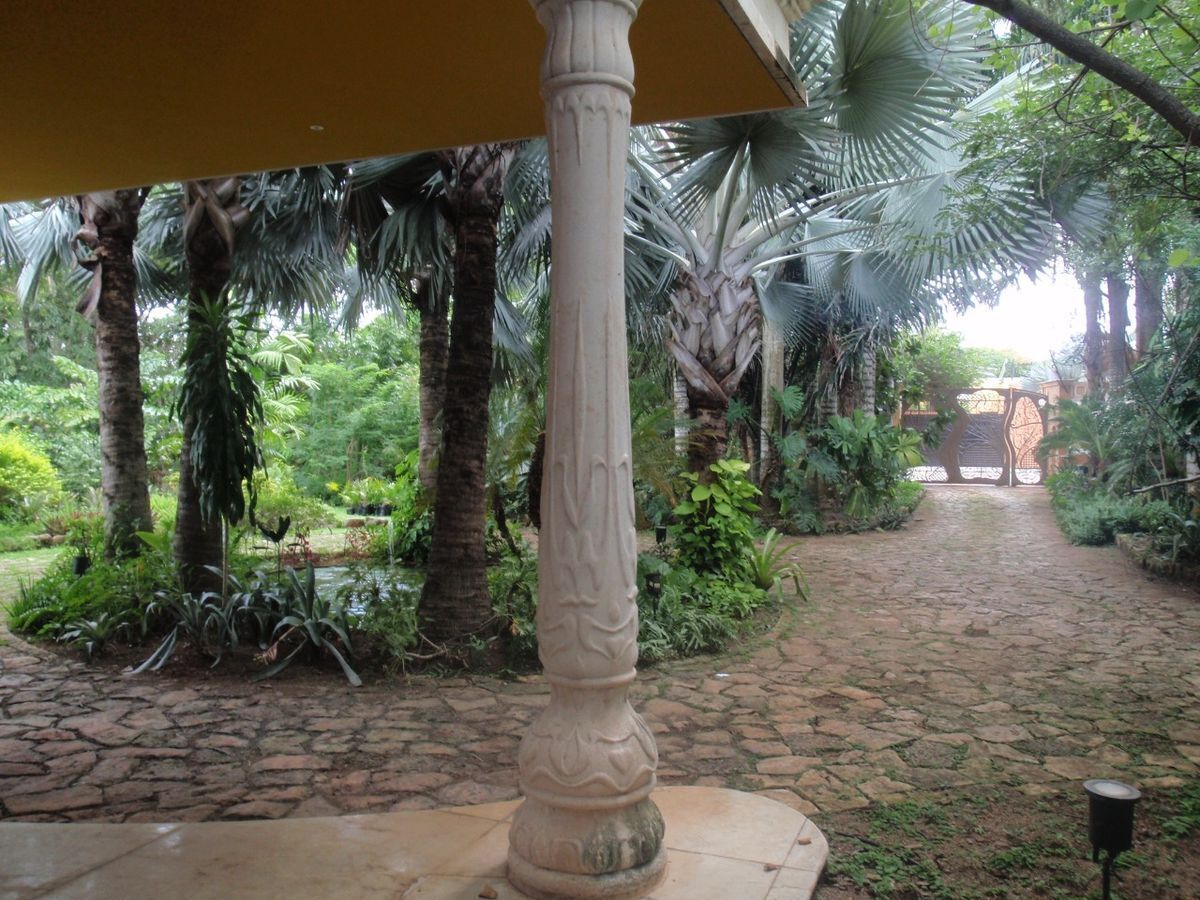Foto 6