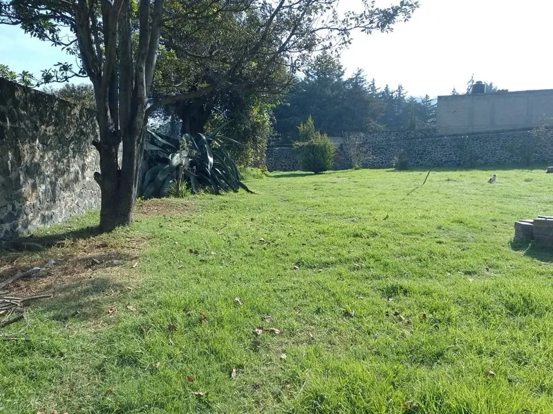 Foto 15