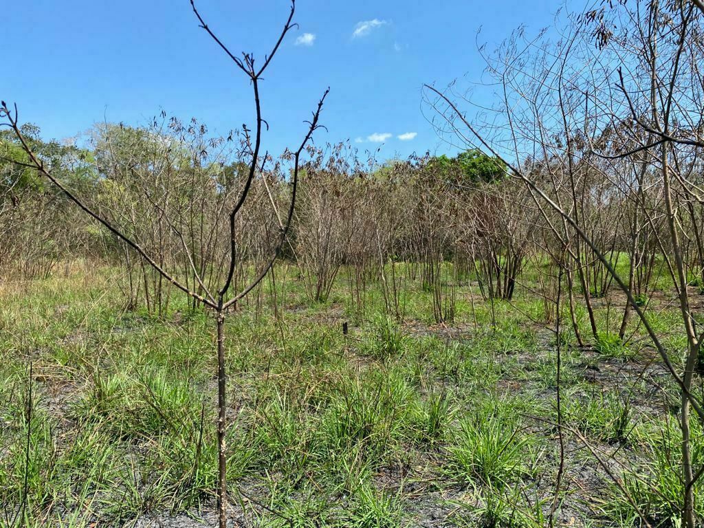 Casa en venta · Becanchen, Tekax, Yucatán