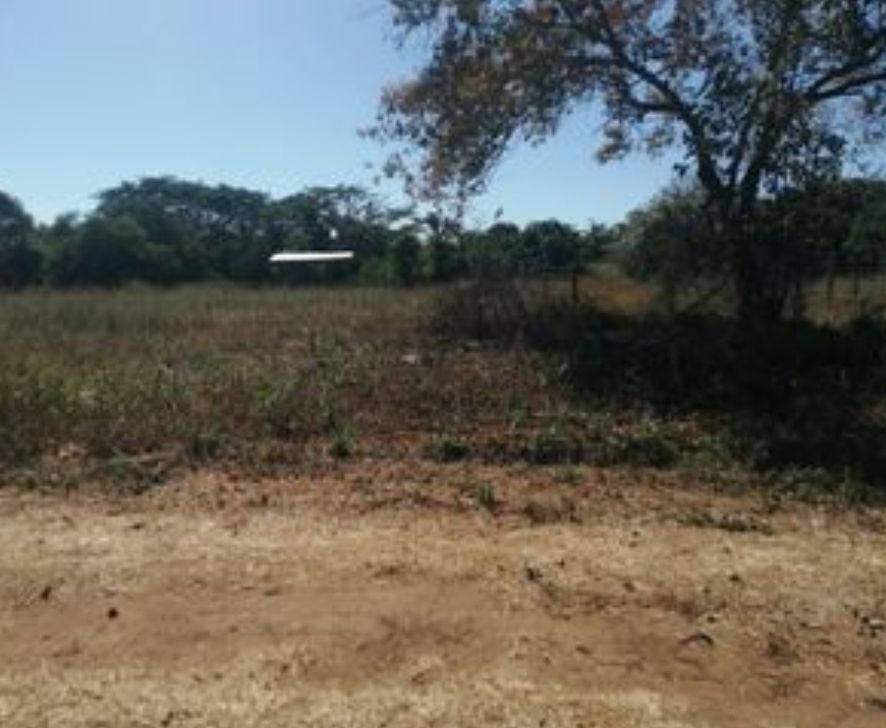 Foto 7