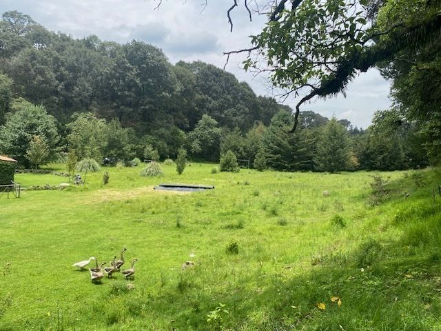 Lote en venta · San Miguel, Ocoyoacac, Estado de México