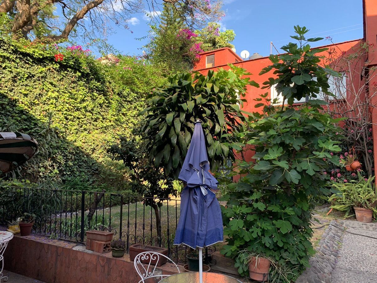 Foto 11