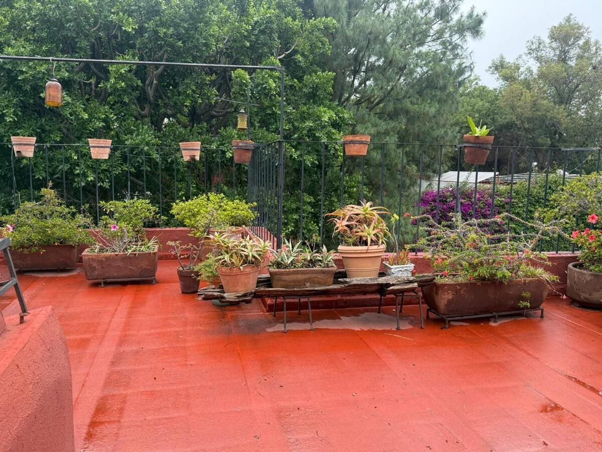 Foto 37