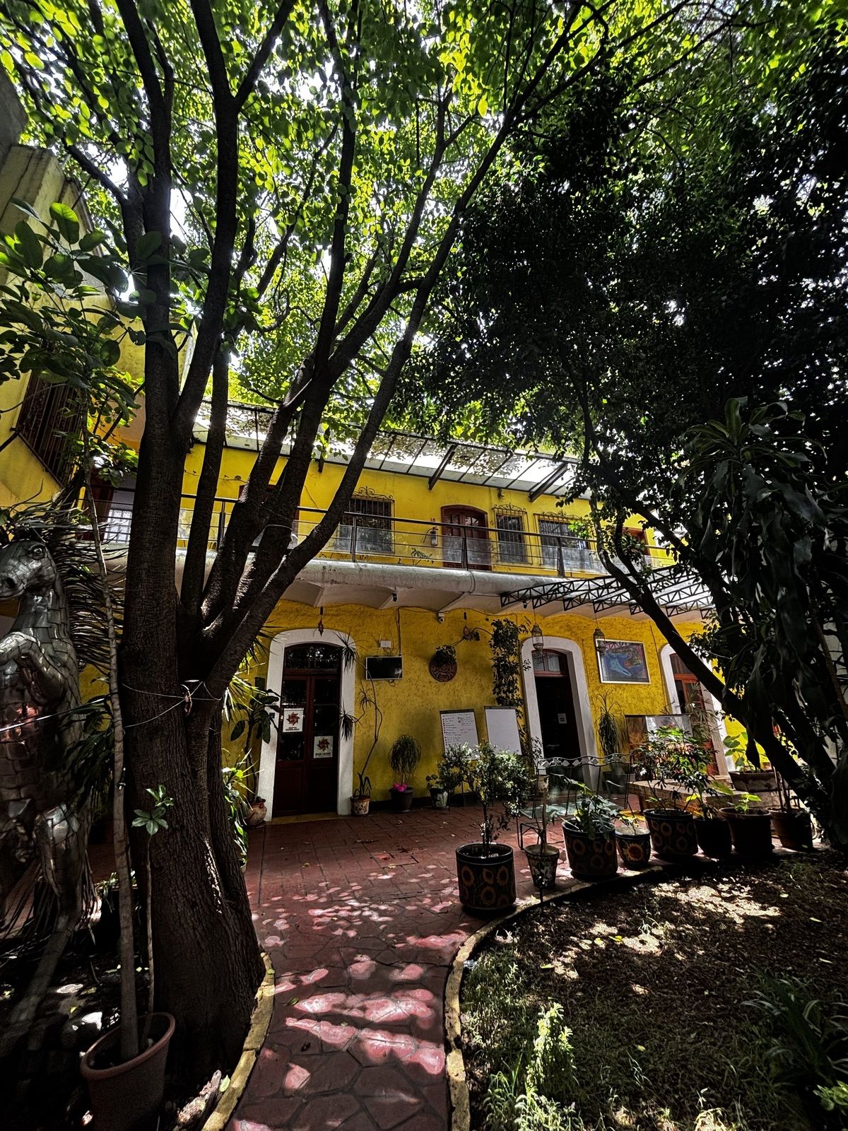 Casa en renta · Popotla, Miguel Hidalgo, Ciudad de México