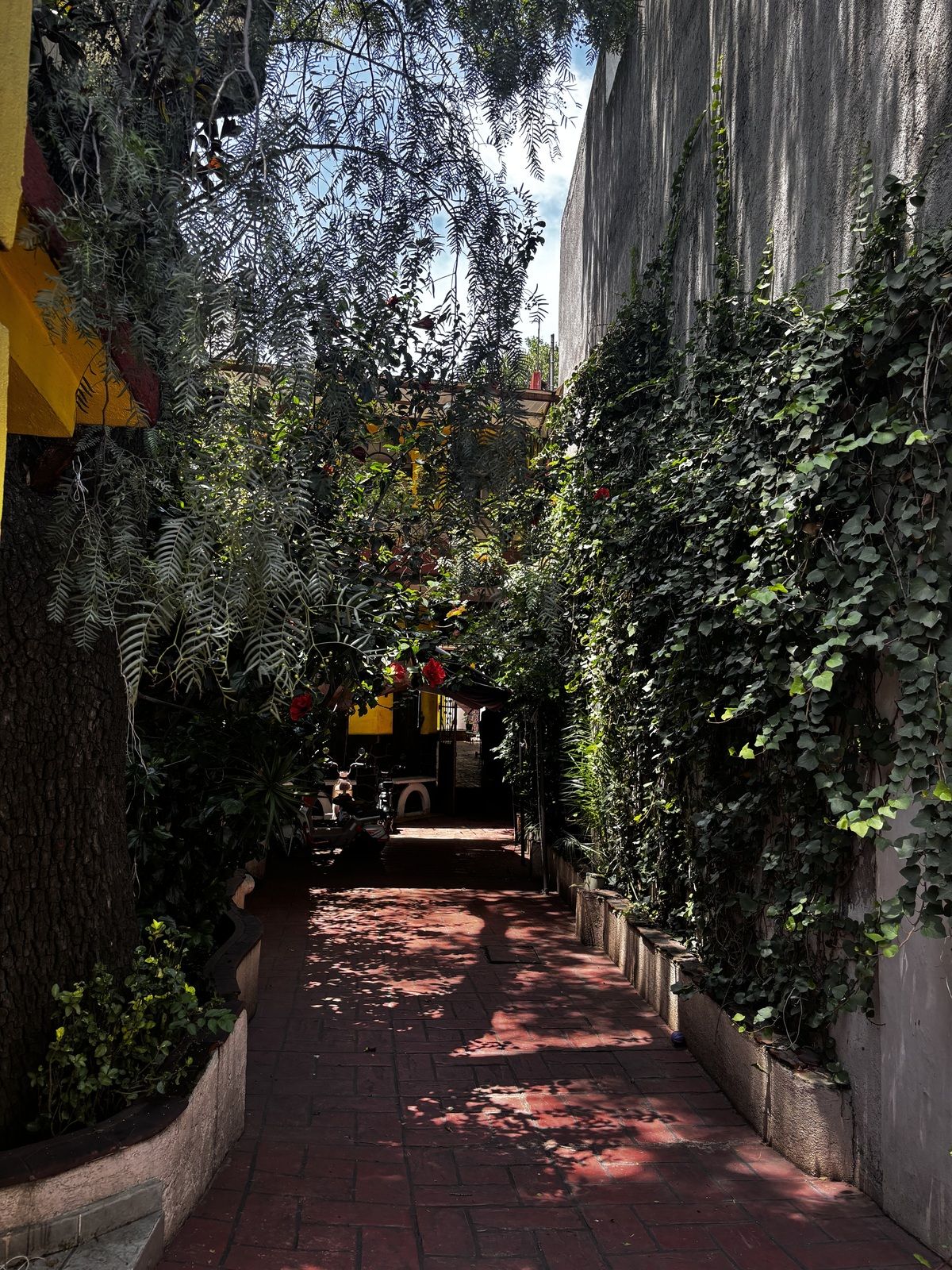 Foto 8