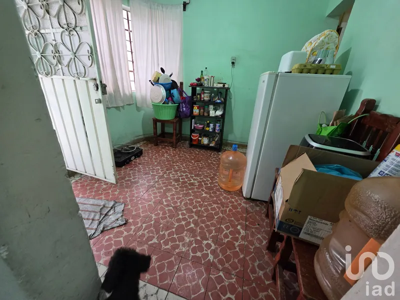 Foto 19