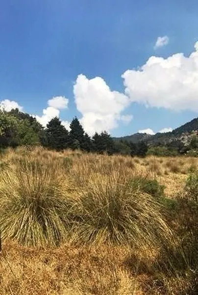 Lote en venta · Santa Cruz Ayotuxco, Huixquilucan, Estado de México