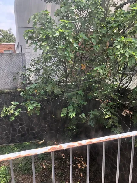 Foto 47
