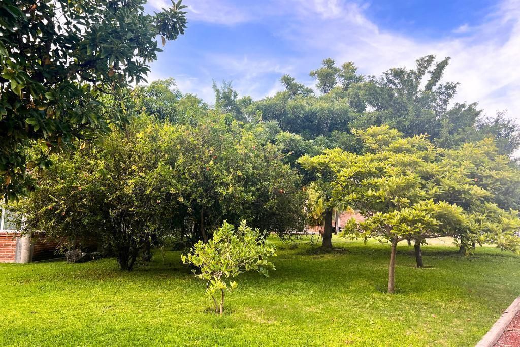 Lote en venta · Benito Juárez, Emiliano Zapata, Morelos