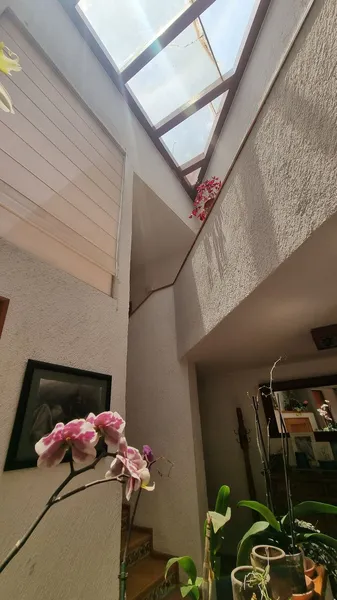 Foto 39