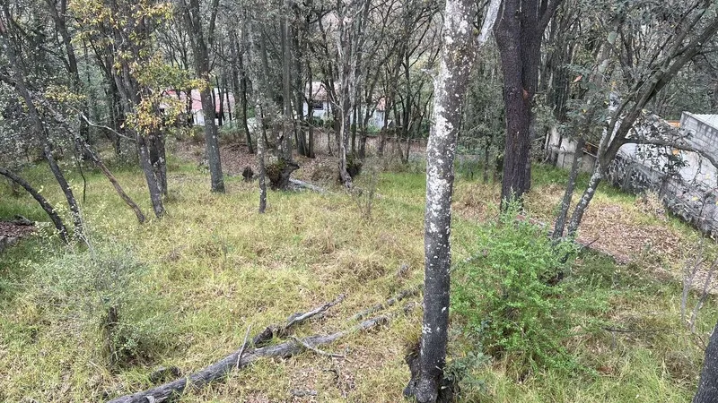Foto 11