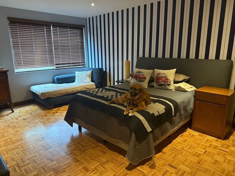 Foto 29