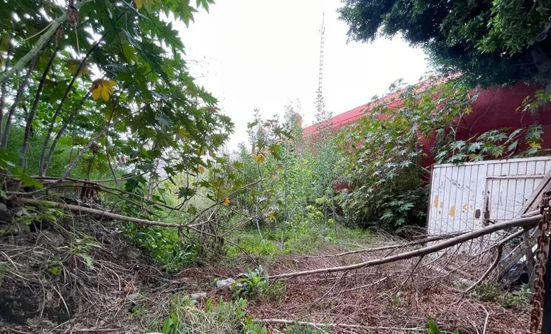Foto 5