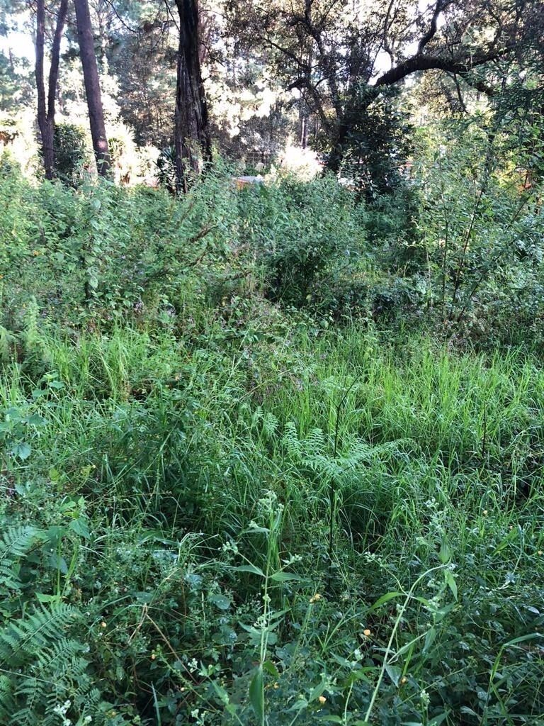 Lote en venta · Cerro Gordo, Valle de Bravo, Estado de México