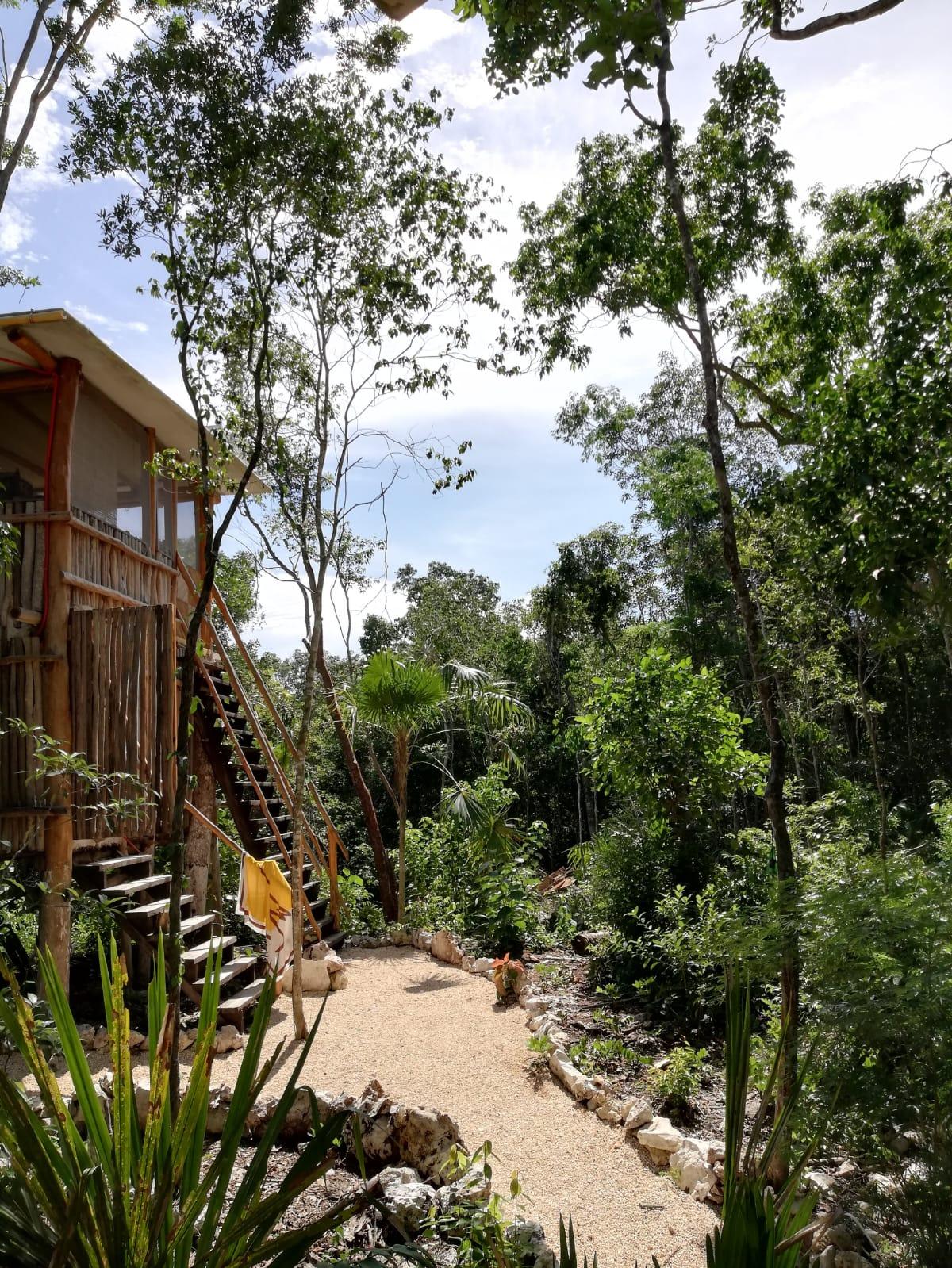 Lote en venta · Tulum, Quintana Roo