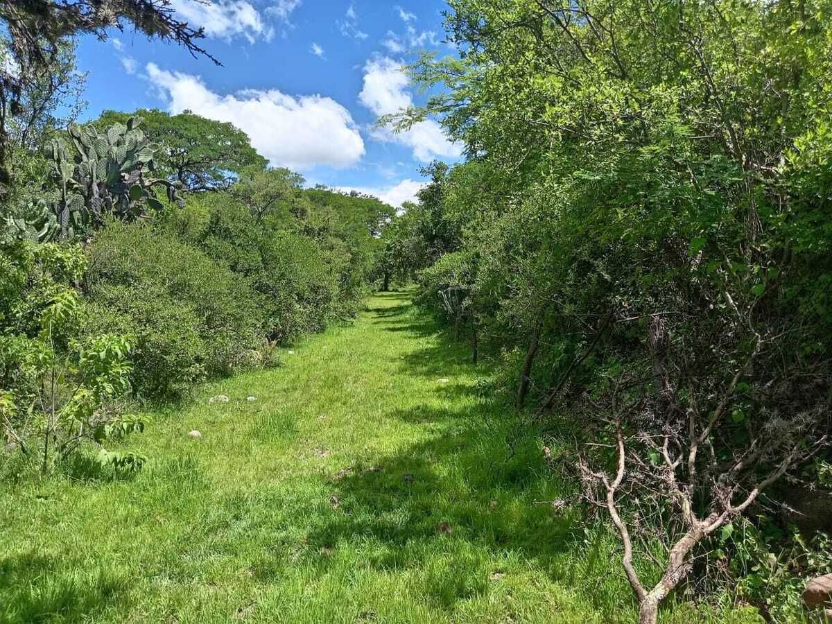 Lote en venta · Lagunilla, San Miguel de Allende, Guanajuato