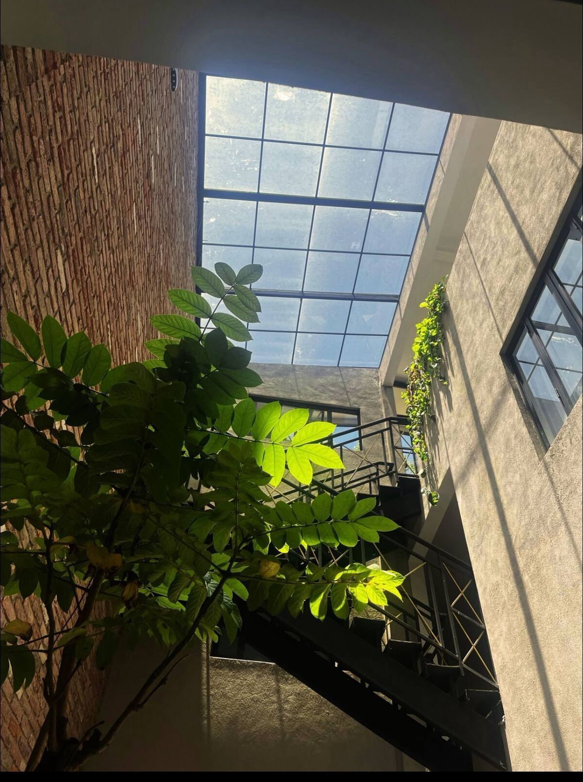 Foto 7