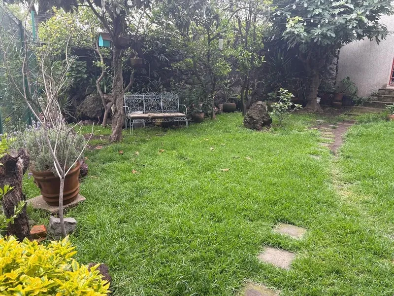 Foto 7