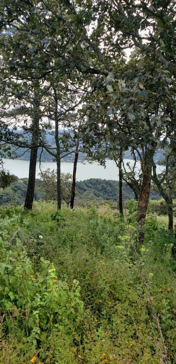 Lote en venta · Santa Magdalena Tilostoc, Valle de Bravo, Estado de México