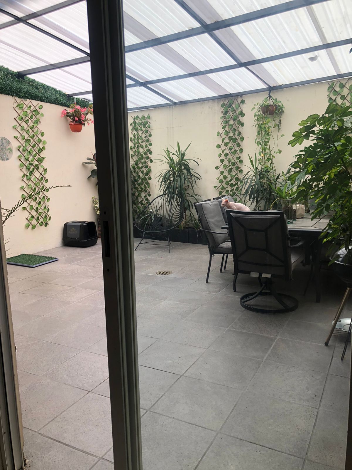 Foto 7
