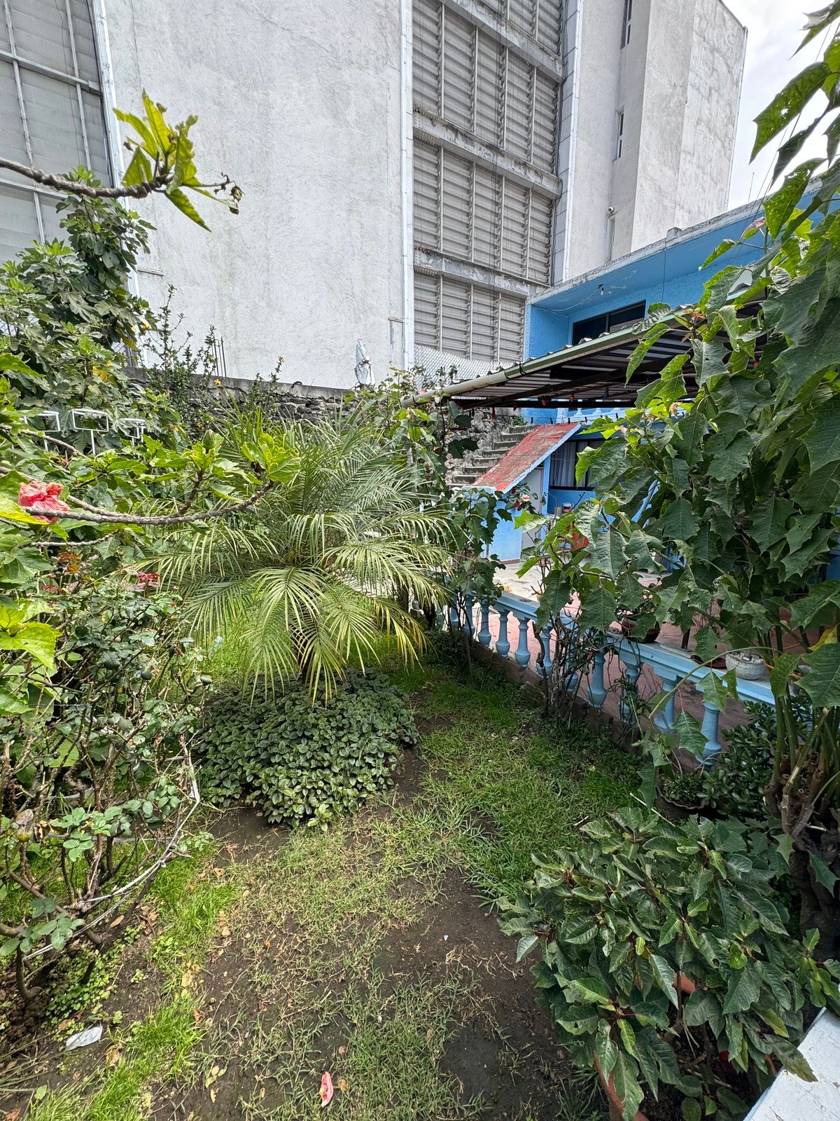 Foto 17