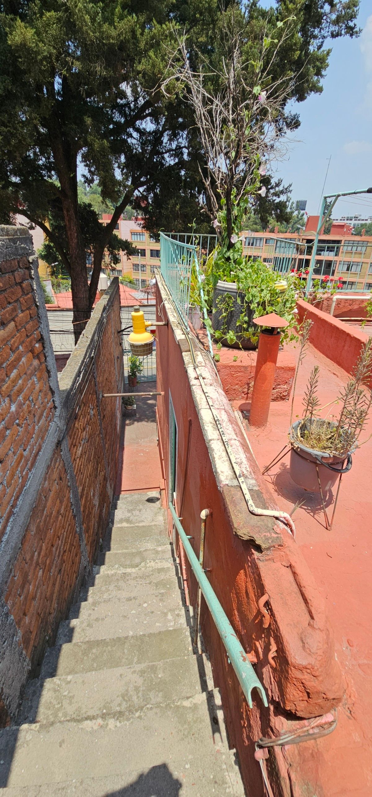 Foto 20