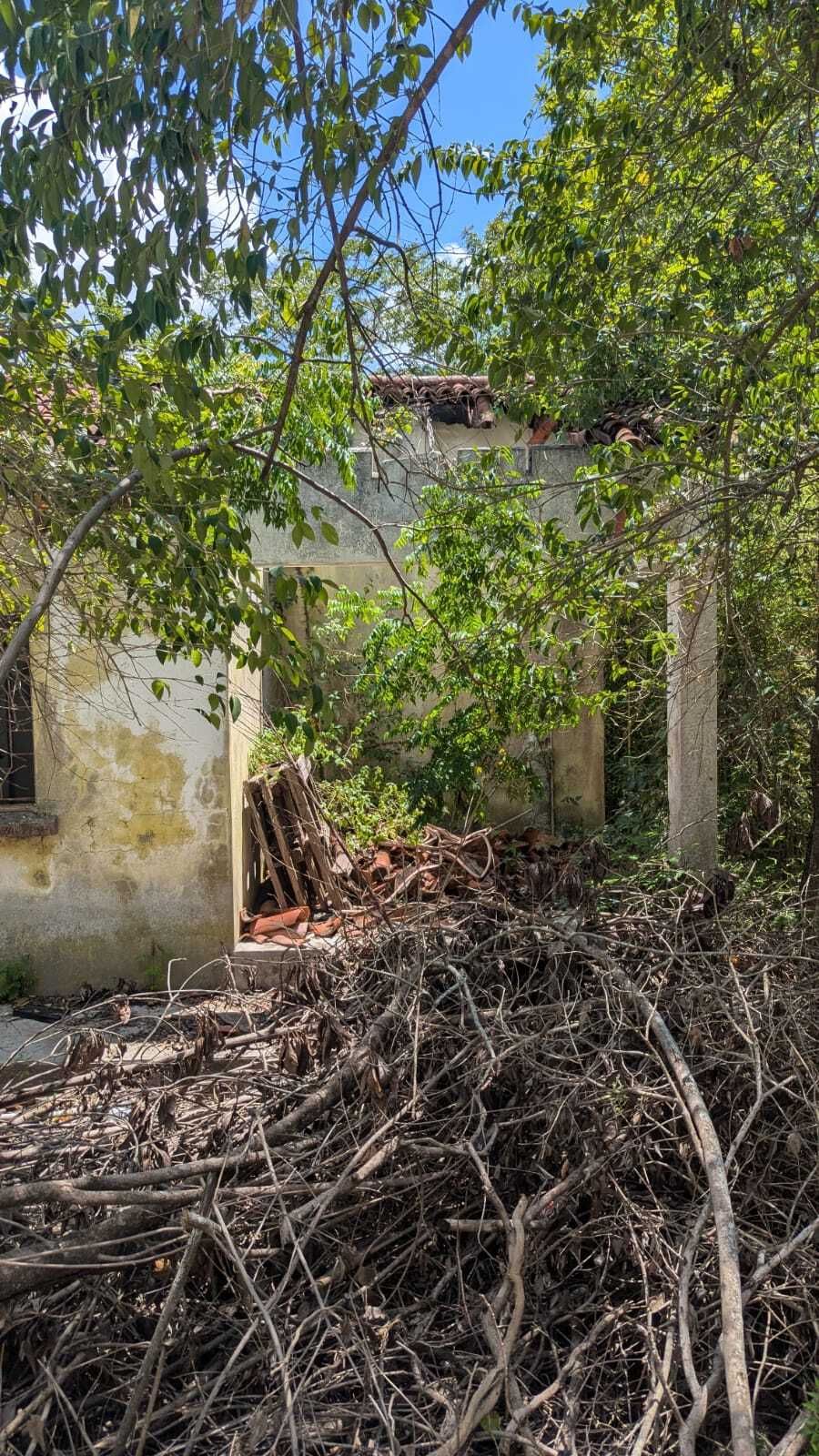 Foto 11