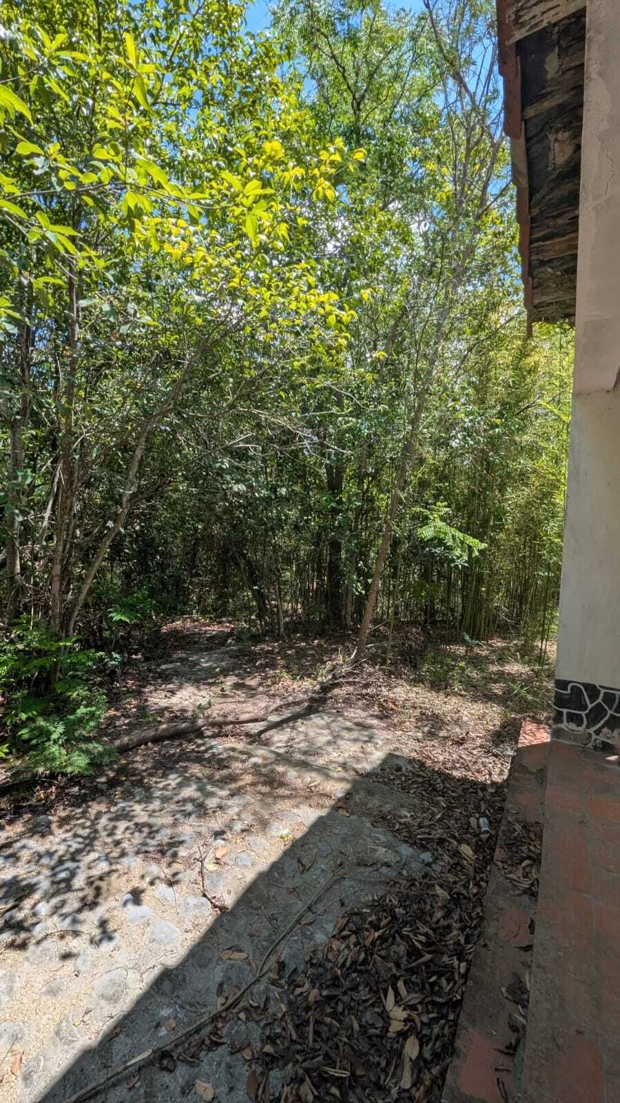 Foto 17