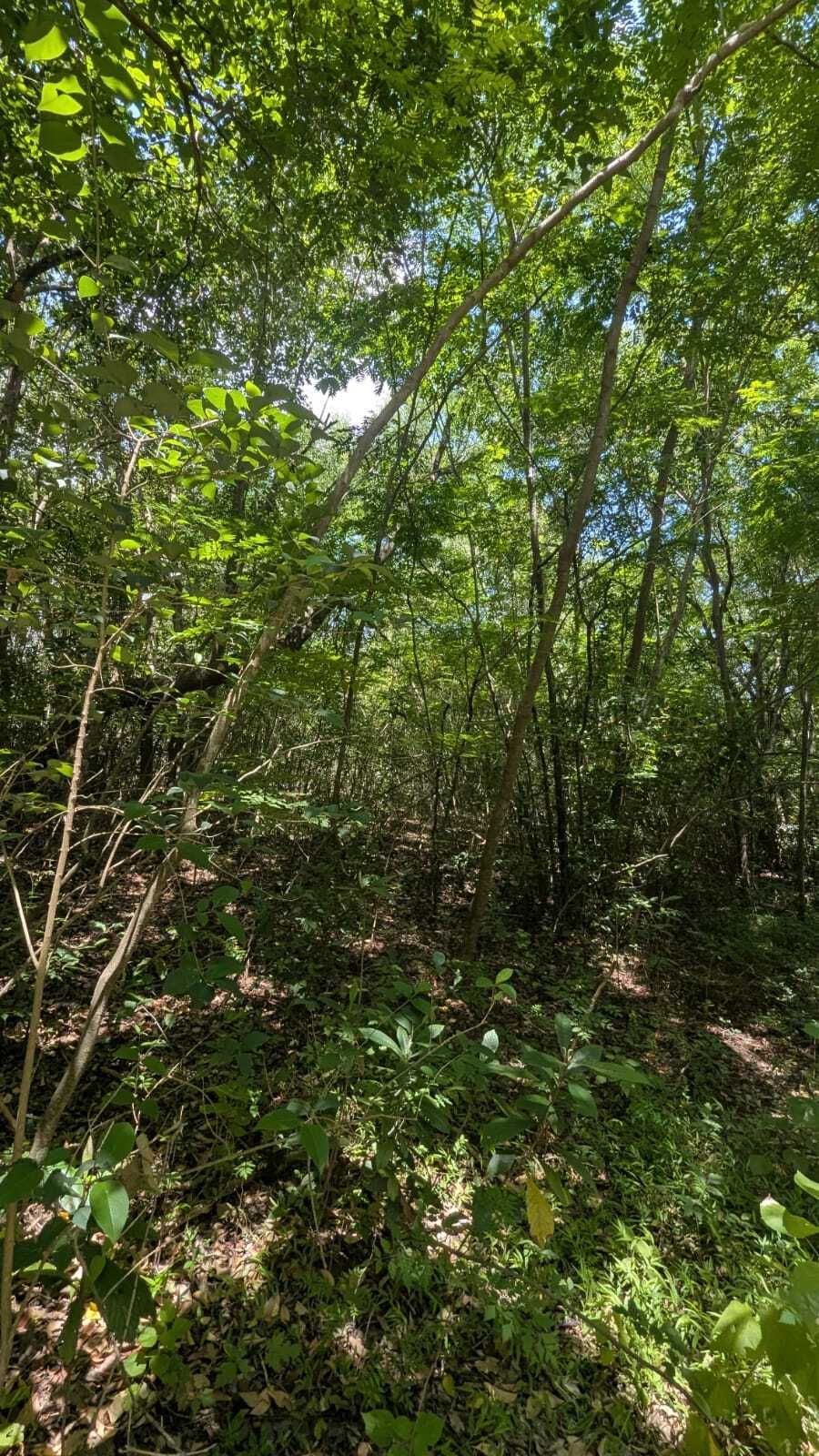 Foto 18