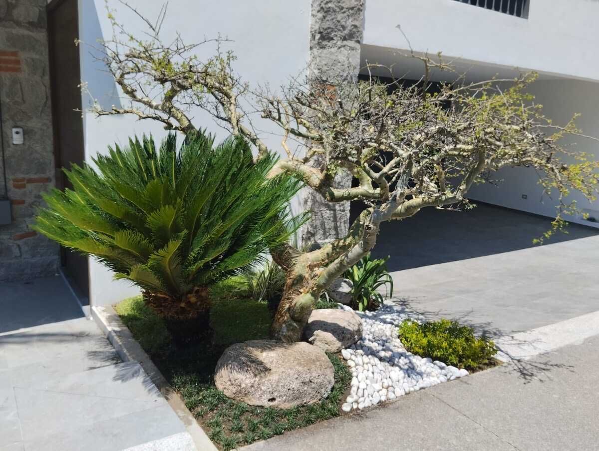 Foto 18