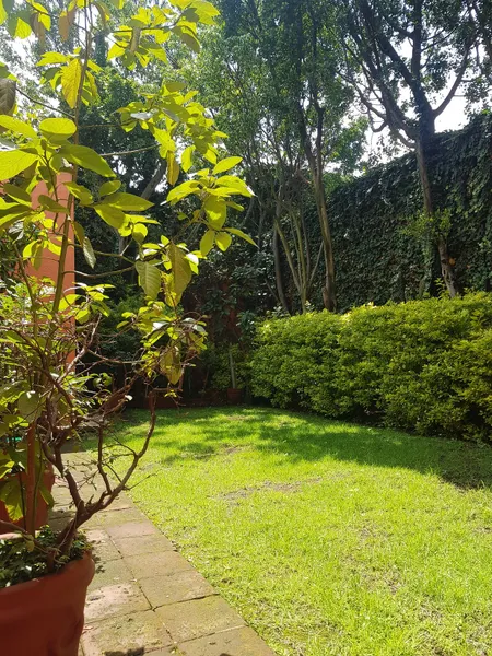 Foto 6