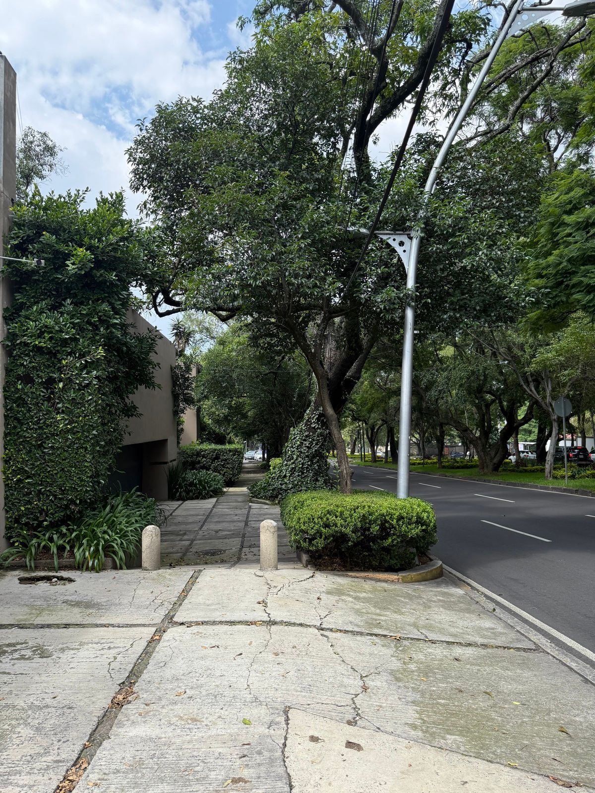 Lote en venta · Lomas de Chapultepec I Sección, Lomas de Chapultepec, Chapultepec, Miguel Hidalgo, Ciudad de México Lote en venta · Lomas de Chapultepec I Sección, Lomas de Chapultepec, Chapultepec, Miguel Hidalgo, Ciudad de México