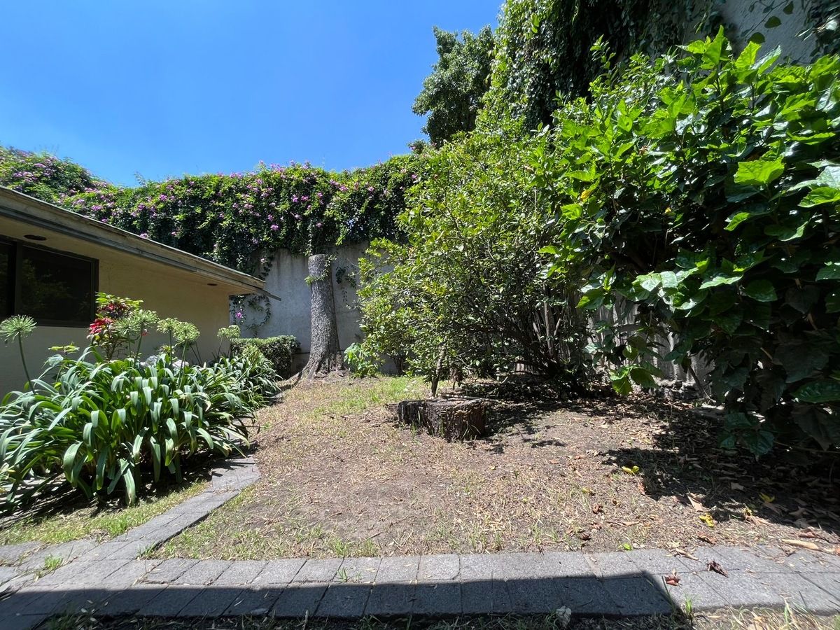 Foto 21