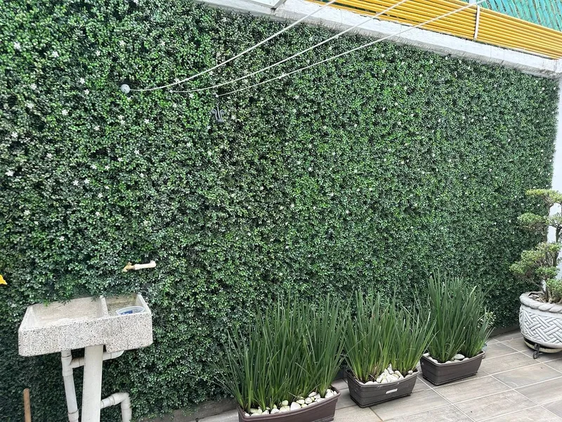 Foto 11