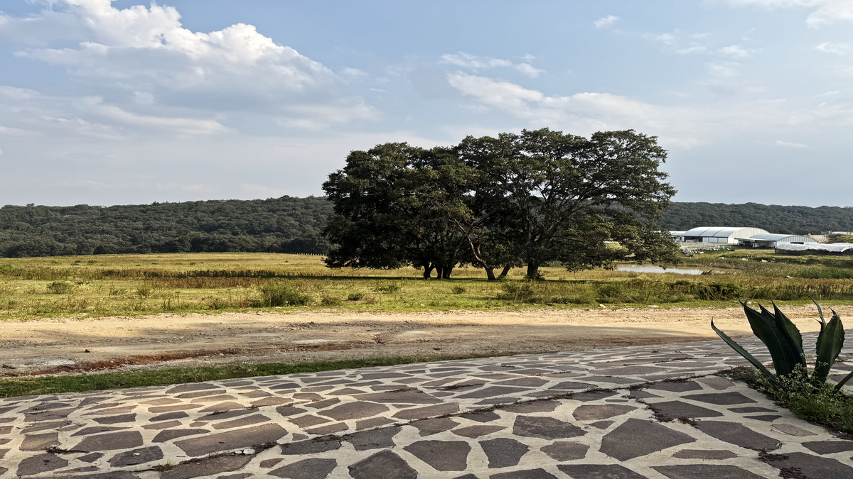 Lote en venta · San Jeronimo Zacapexco, Villa del Carbón, Estado de México